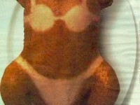 turkey turkey